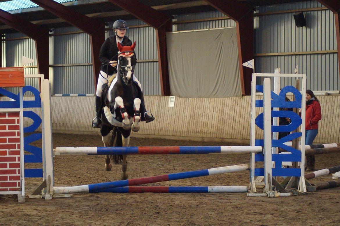 Paint Eskelunds Helga <3  - Hylke spring stævne efter 1 år spring pause <3 billede 10