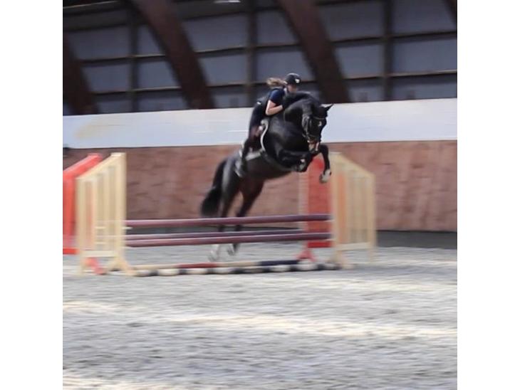 {{currentPhoto.altText}} billede {{currentPhoto.number}}