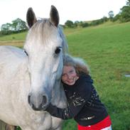 Anden særlig race Charlie