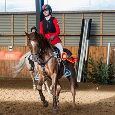 Anden særlig race Top  murdoch