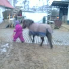 Anden særlig race Lille My