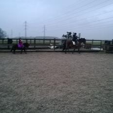 Anden særlig race Lille My