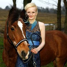 Anden særlig race Kasmir