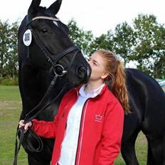 Dansk Varmblod Gørklintgårds Deena