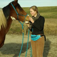 Pinto Prinsesse Padmé