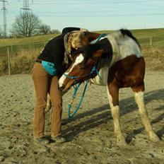 Pinto Prinsesse Padmé