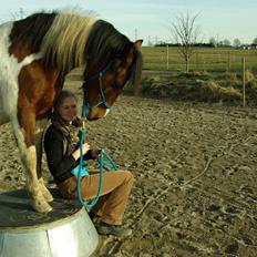 Pinto Prinsesse Padmé