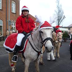 Connemara Skousboe mooney