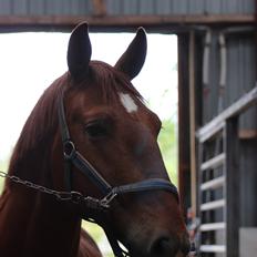 Frederiksborg Kanto a bjældsø