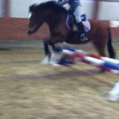 Anden særlig race Else { part }