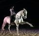 Lusitano Zapatero (spa)
