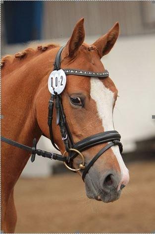 DSP Lille Asserholt Wikipidia RSDH 637 billede 1