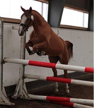 DSP Lille Asserholt Wikipidia RSDH 637 billede 4