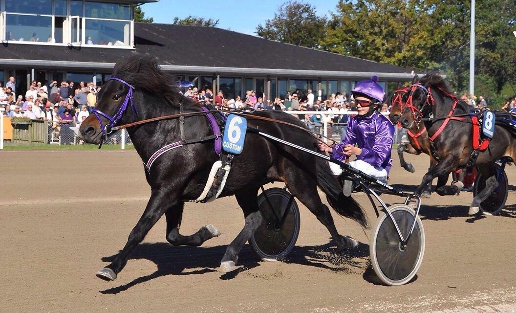 Islænder Una fra Skovbogaard - Aalborg Storcenters Storepris Ponyrace 2015. Una ligger som nr 1 :P billede 15