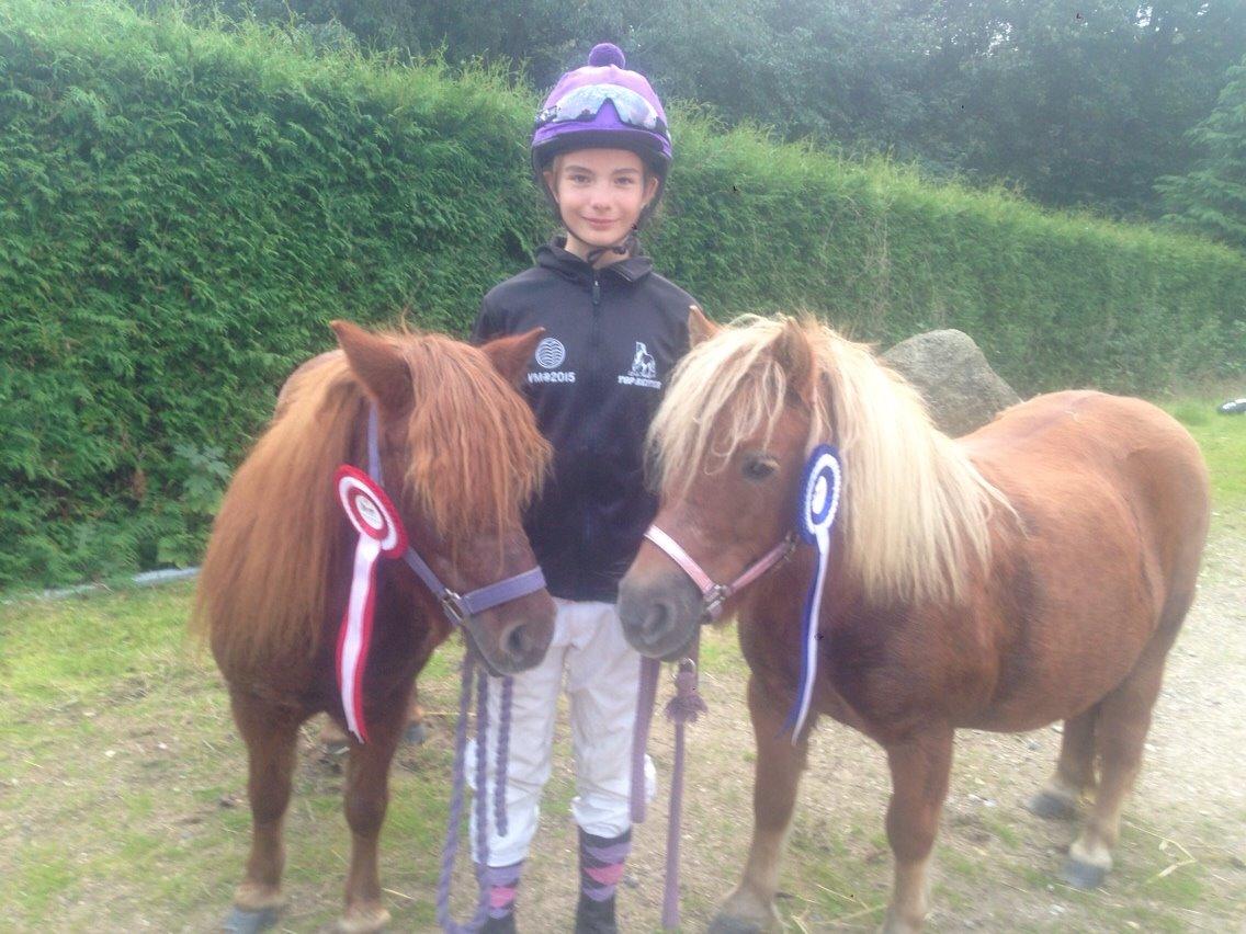 Shetlænder Cecilie - Silja (TV) & Turbo Tulle (TH) billede 7