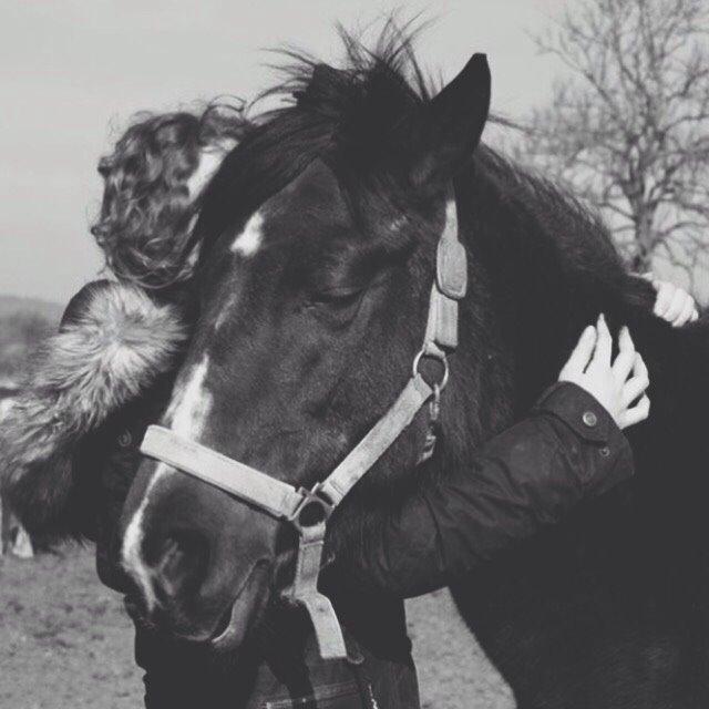 Anden særlig race Ericka billede 4