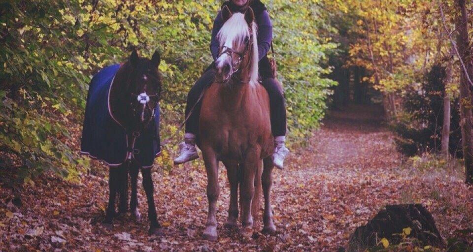 Anden særlig race Ericka billede 5