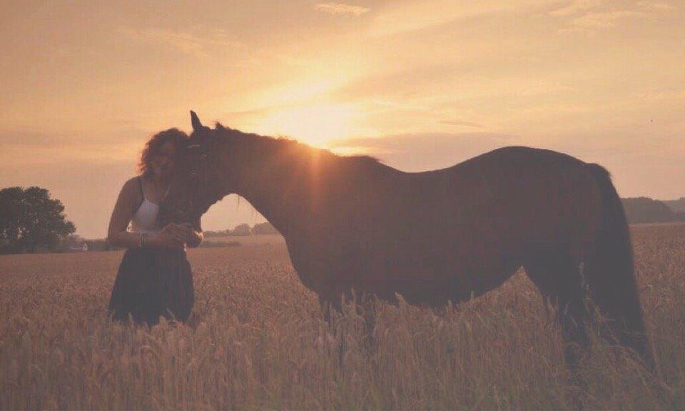 Anden særlig race Ericka billede 12