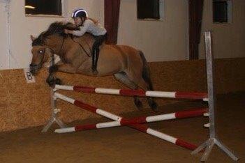 Anden særlig race Maude af mølleagergård billede 7