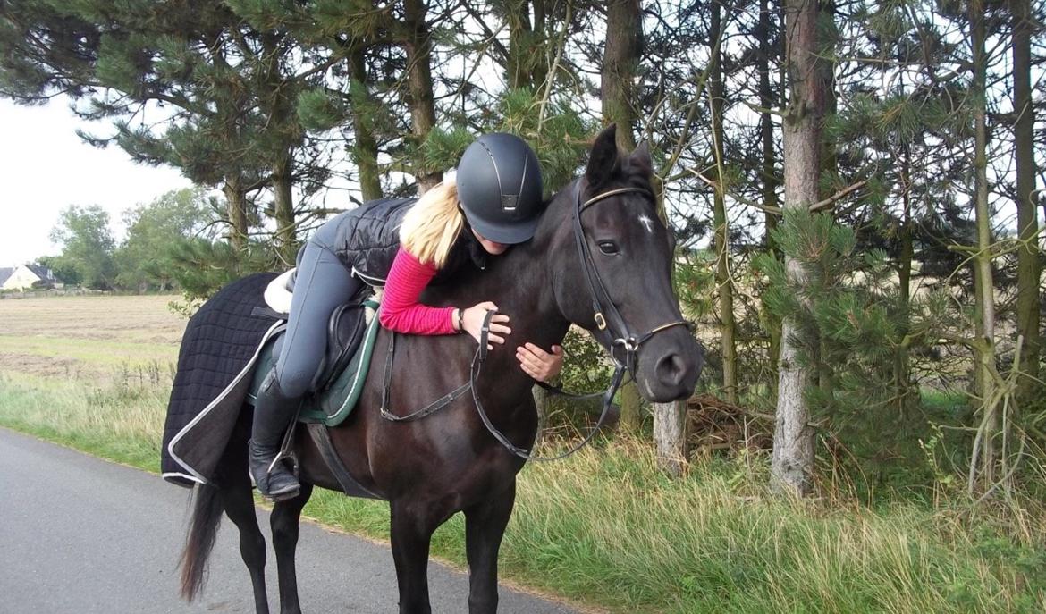 New Forest Skovly's heidi billede 11