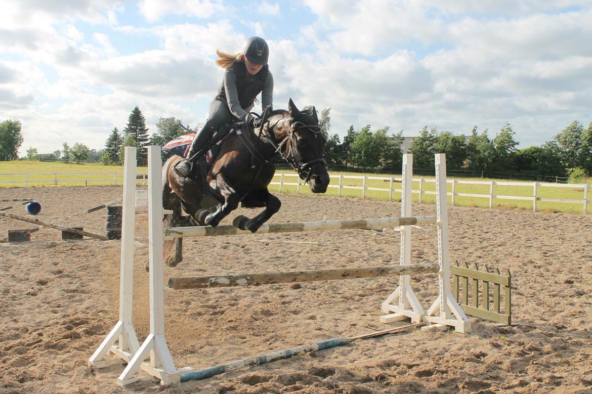 New Forest Skovly's heidi billede 16