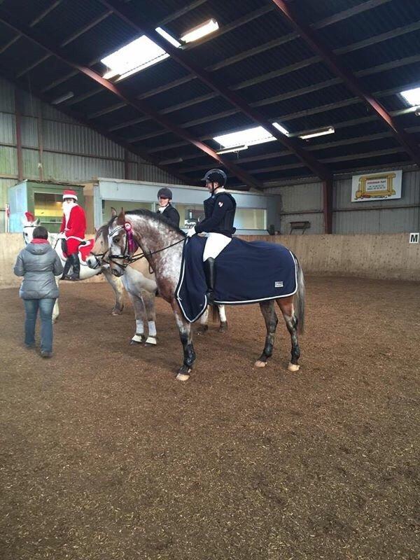 Anden særlig race Titon - Kong Triton SOLGT billede 27