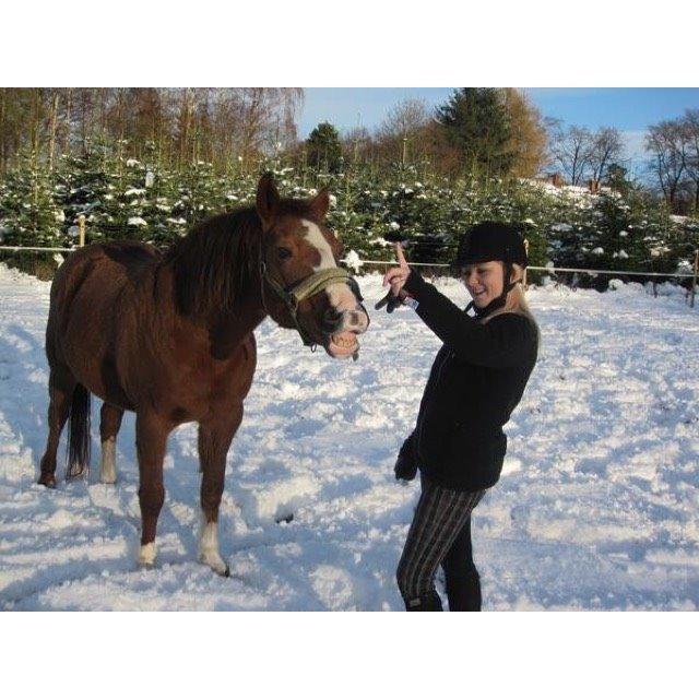 New Forest Oosterhoffs sec ond-hand rose RIP billede 10