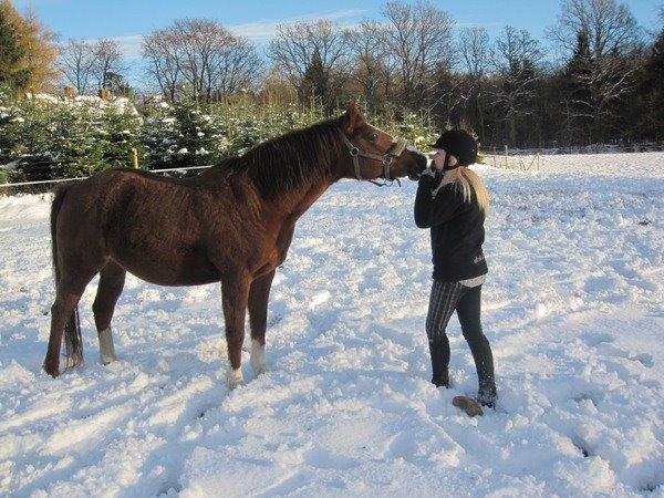 New Forest Oosterhoffs sec ond-hand rose RIP billede 11