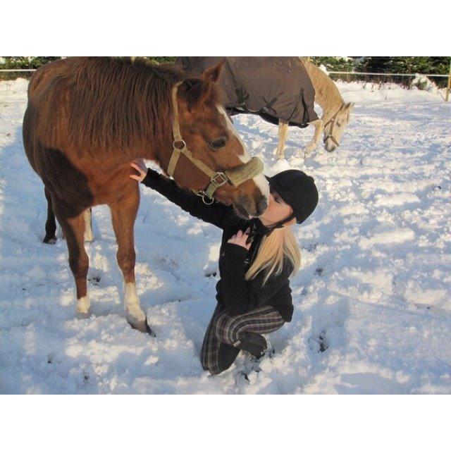 New Forest Oosterhoffs sec ond-hand rose RIP billede 15