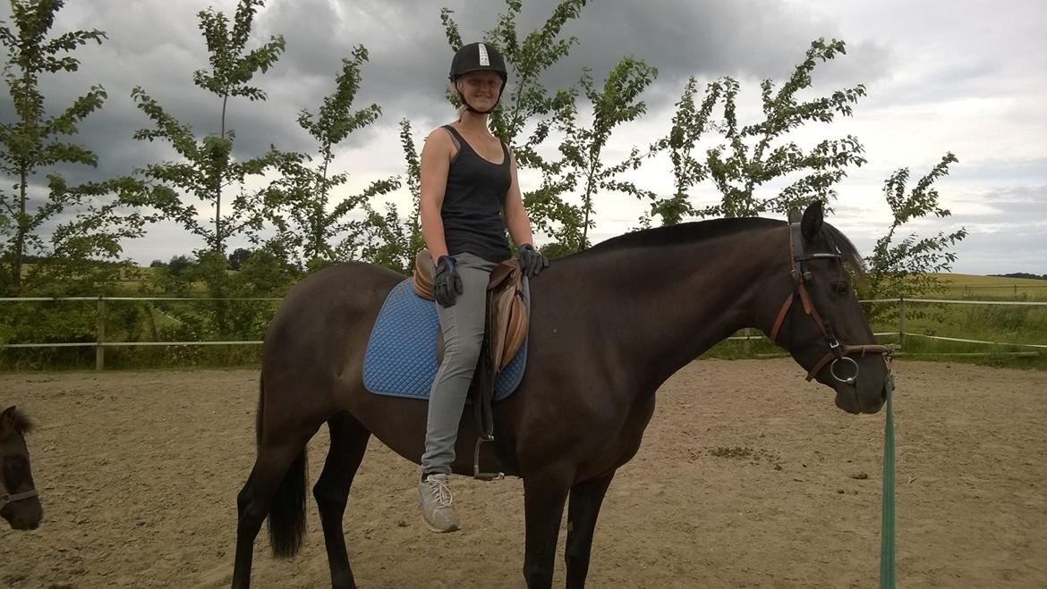 Pura Raza Española TU Bronca - 19.07.2015 - Anden gang med rytter billede 3