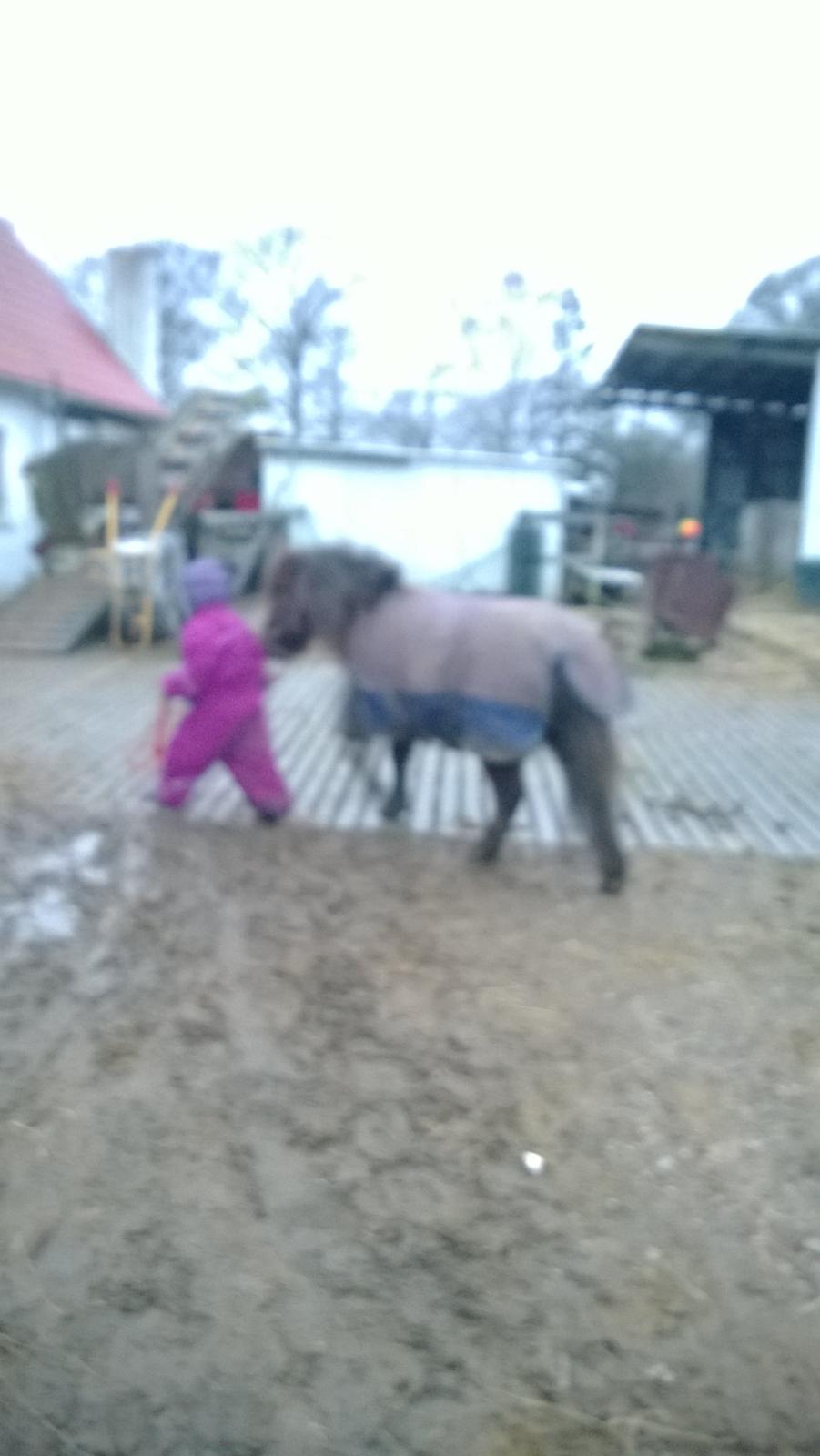 Anden særlig race Lille My billede 1