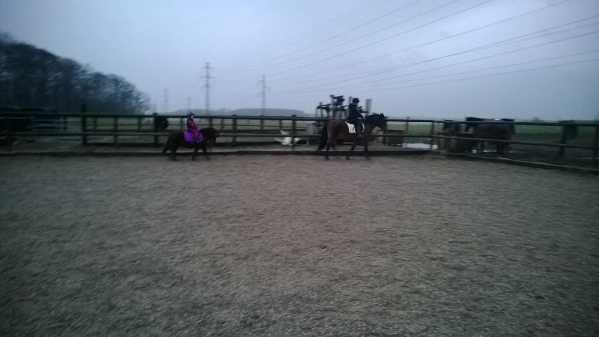 Anden særlig race Lille My billede 2