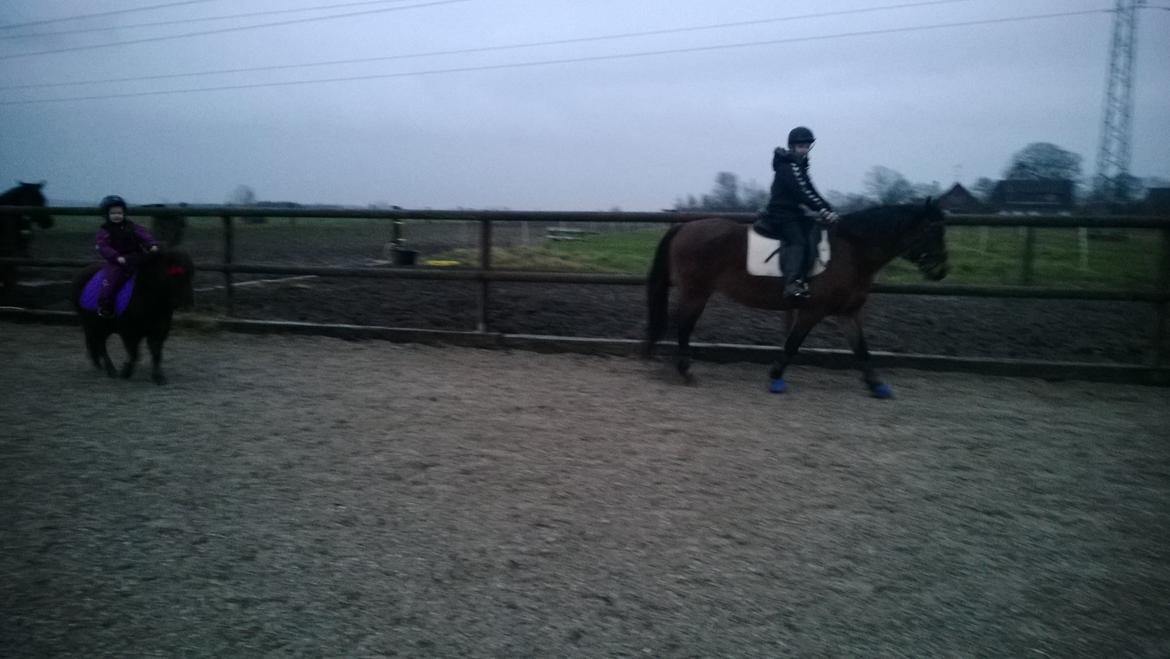 Anden særlig race Lille My billede 3