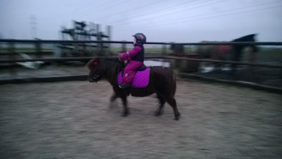 Anden særlig race Lille My billede 7