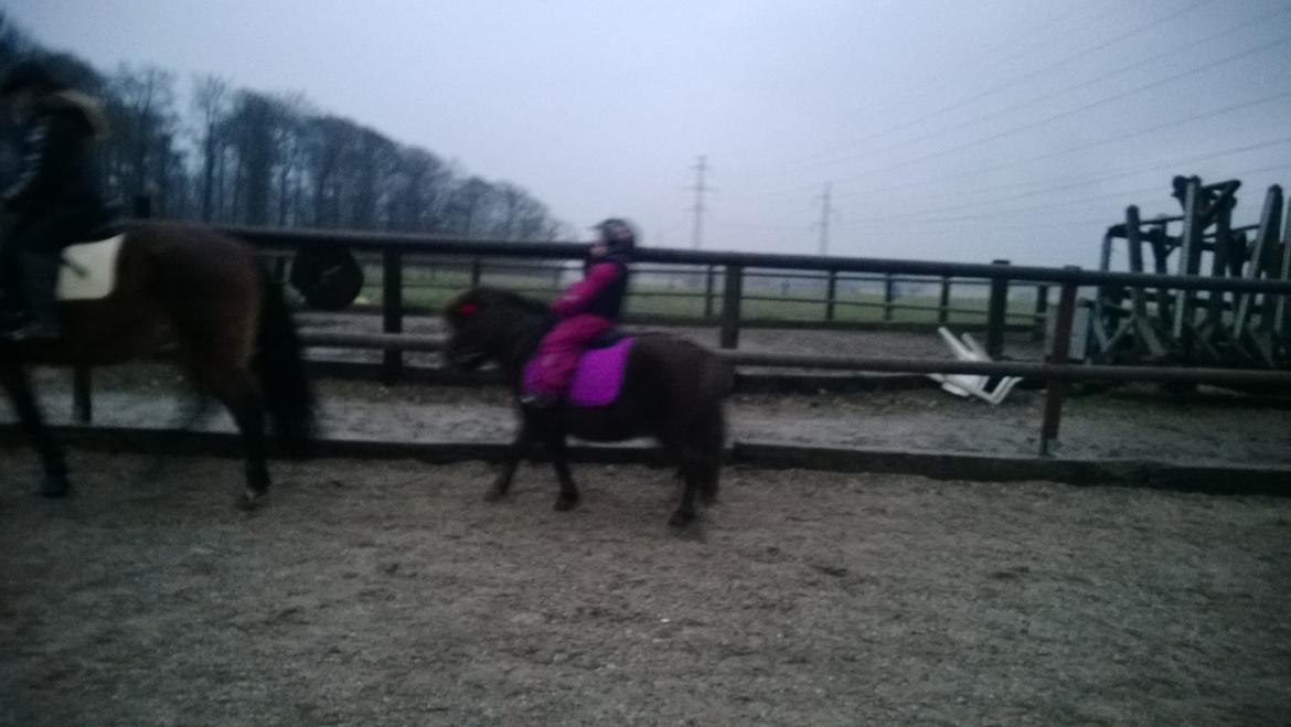 Anden særlig race Lille My billede 8