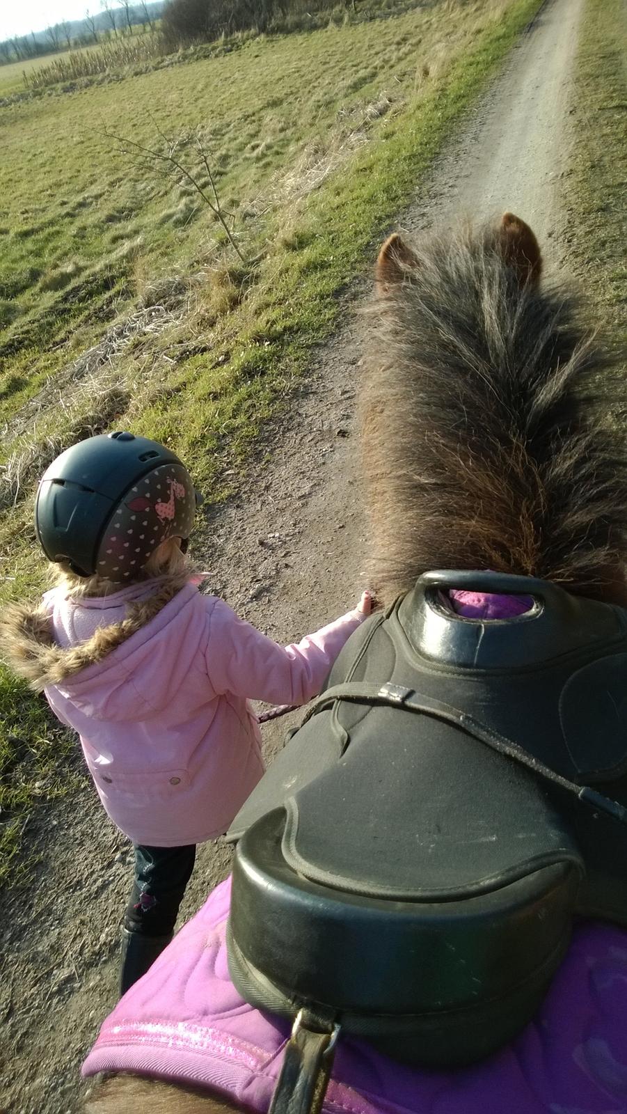 Anden særlig race Lille My billede 19