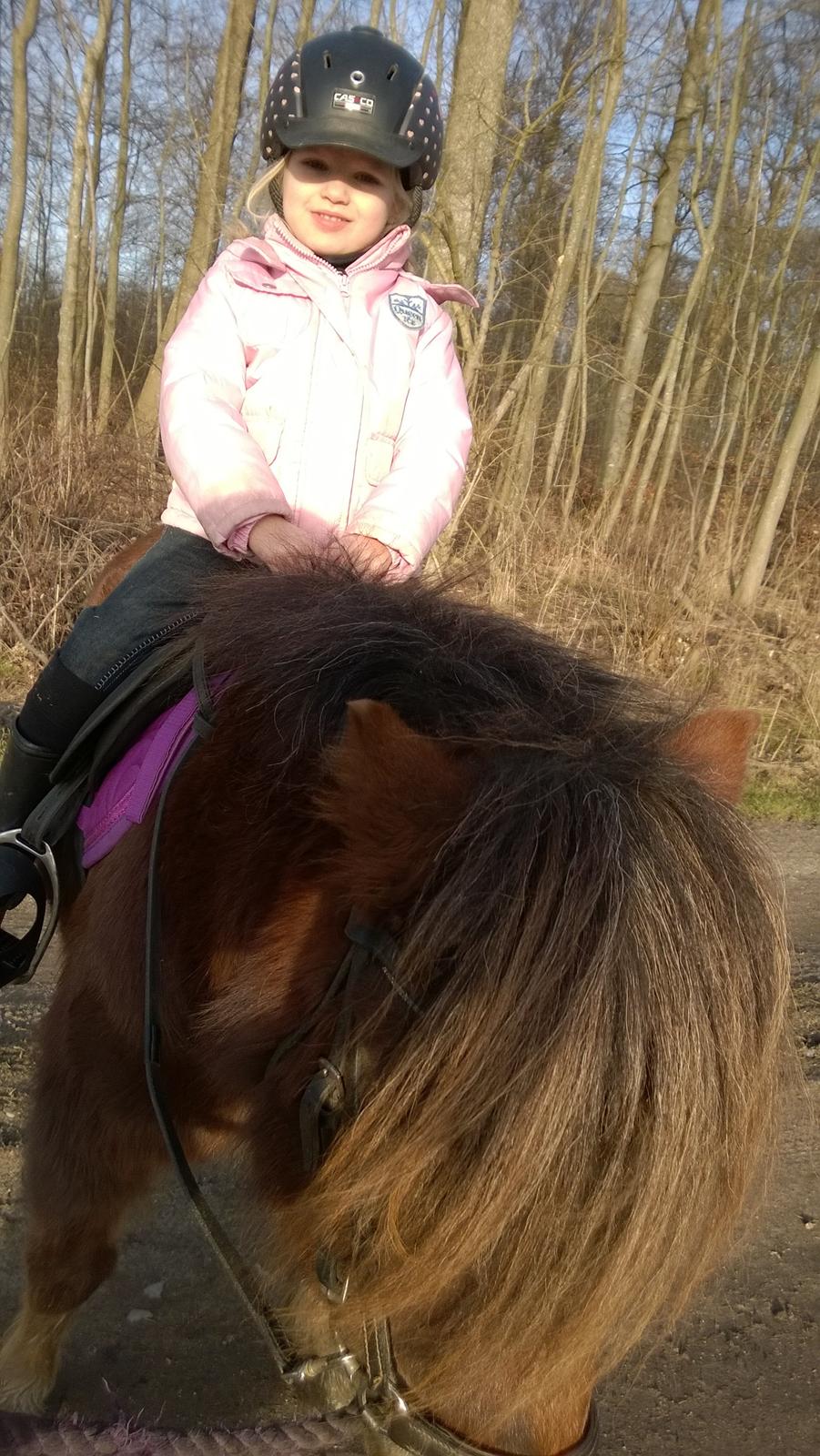 Anden særlig race Lille My billede 21