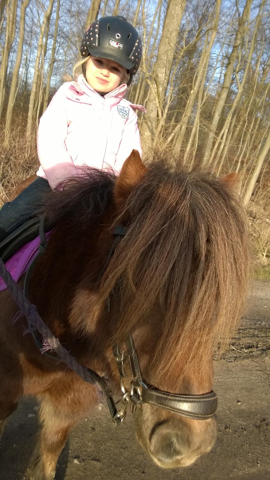 Anden særlig race Lille My billede 22