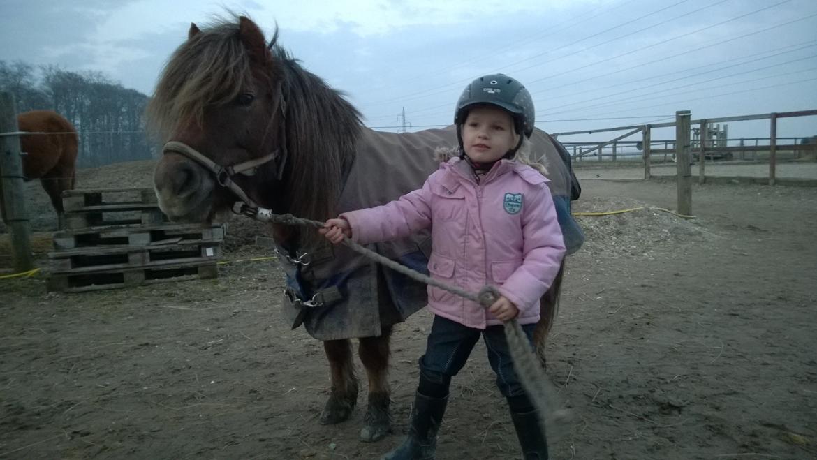 Anden særlig race Lille My billede 23