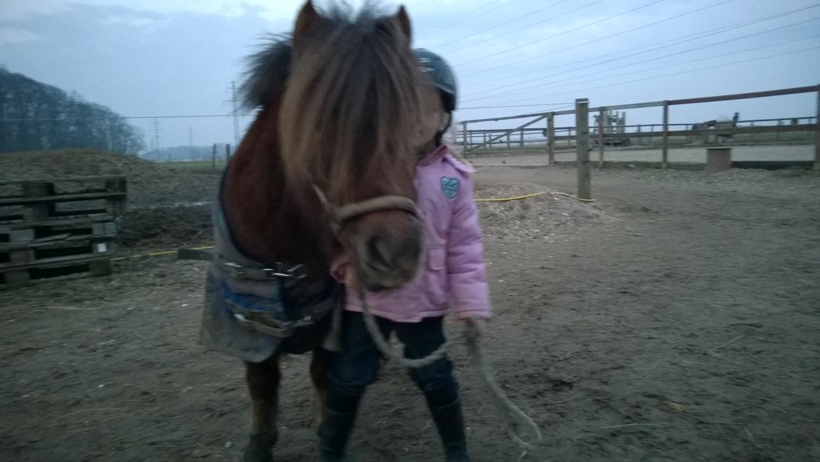 Anden særlig race Lille My billede 24