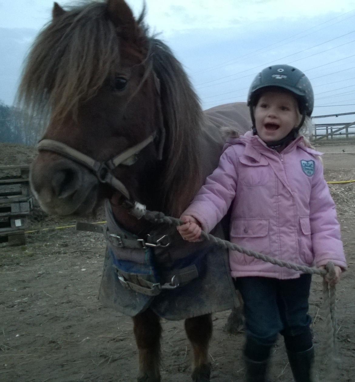 Anden særlig race Lille My billede 25