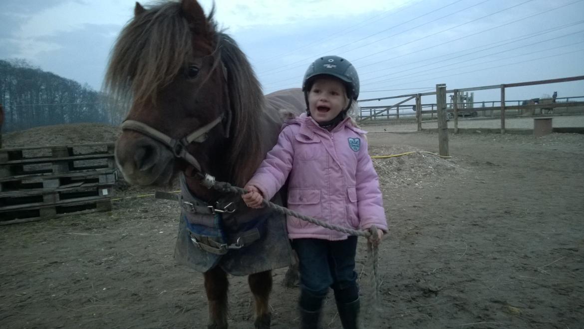 Anden særlig race Lille My billede 26