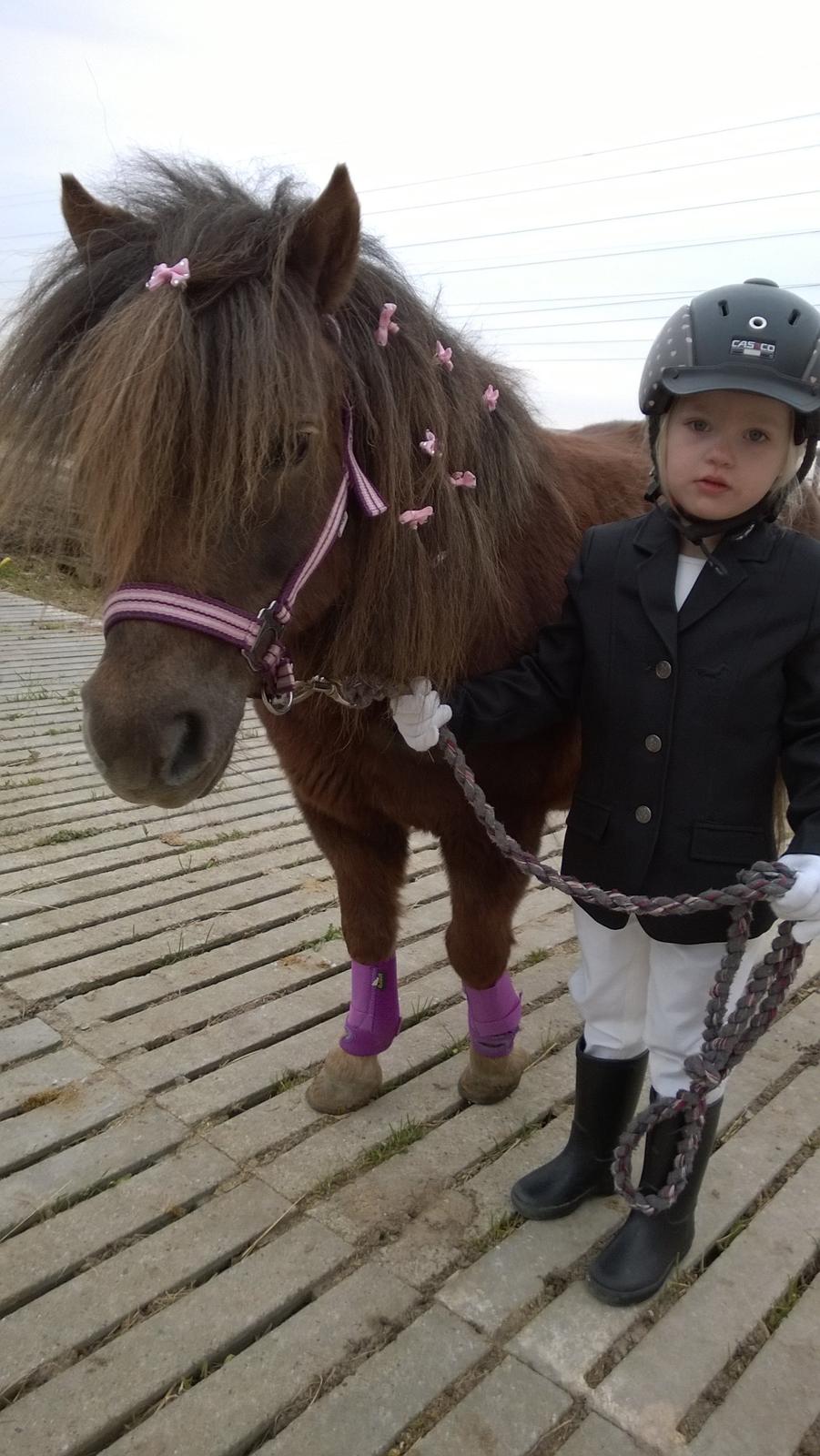 Anden særlig race Lille My billede 32