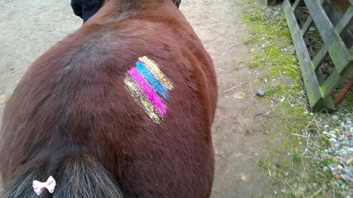 Anden særlig race Lille My billede 33