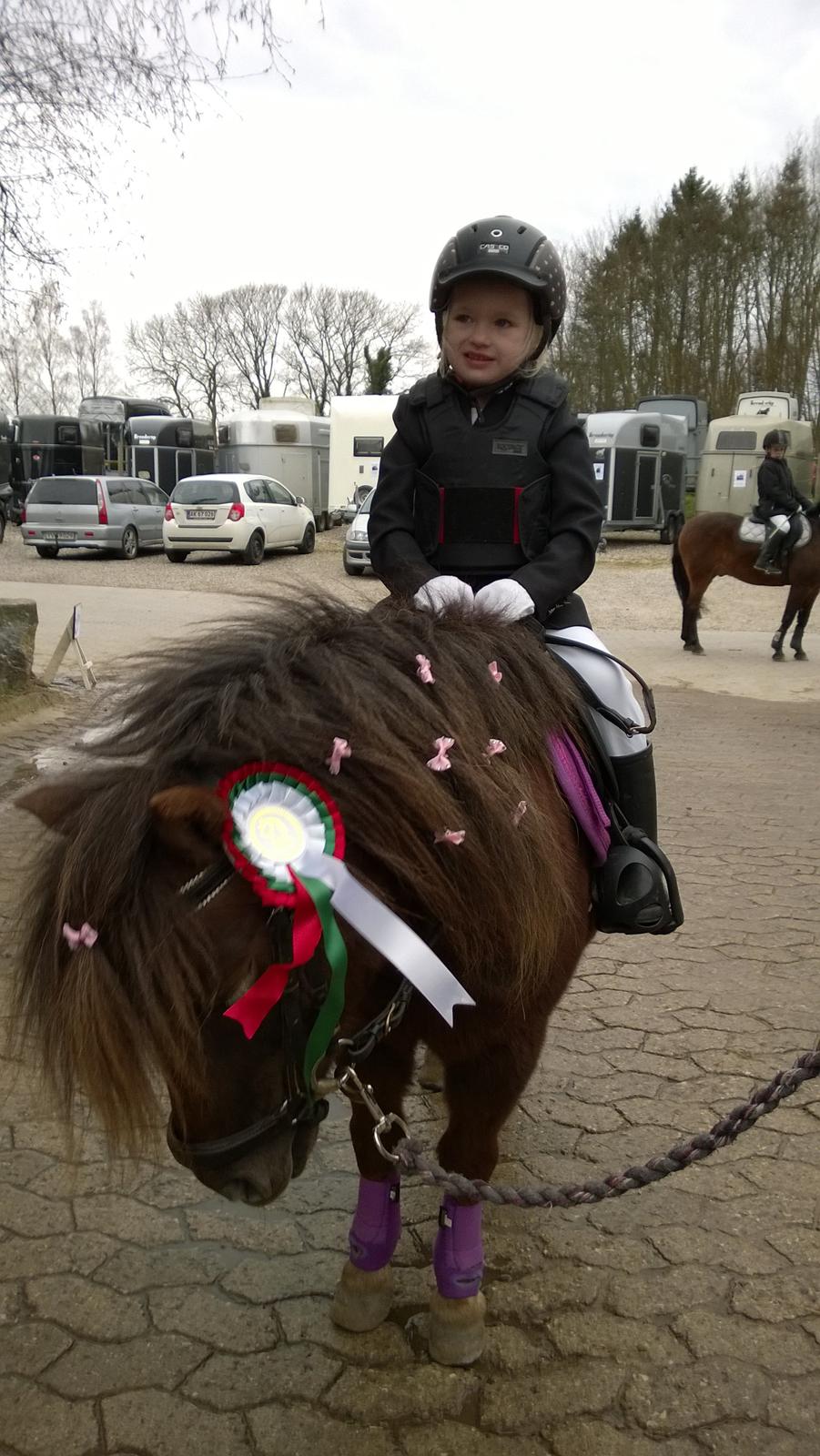 Anden særlig race Lille My billede 34