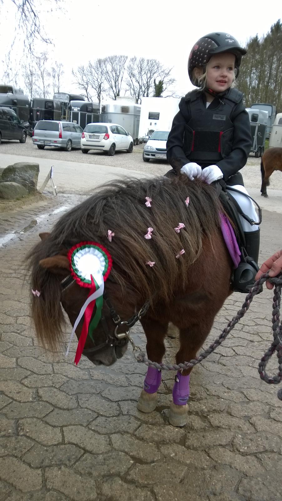 Anden særlig race Lille My billede 36