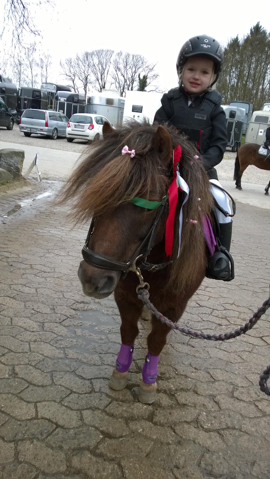 Anden særlig race Lille My billede 37