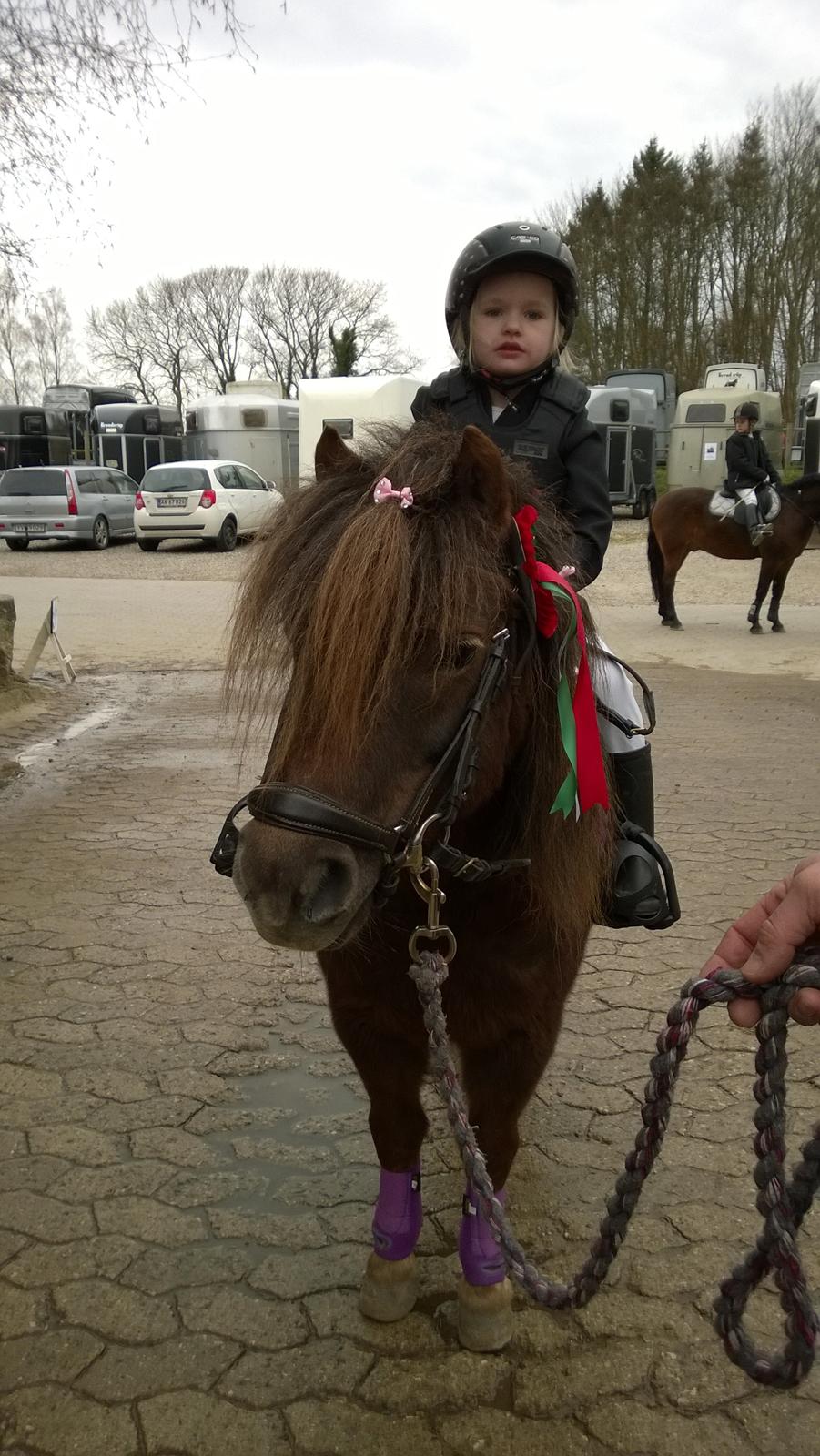 Anden særlig race Lille My billede 38