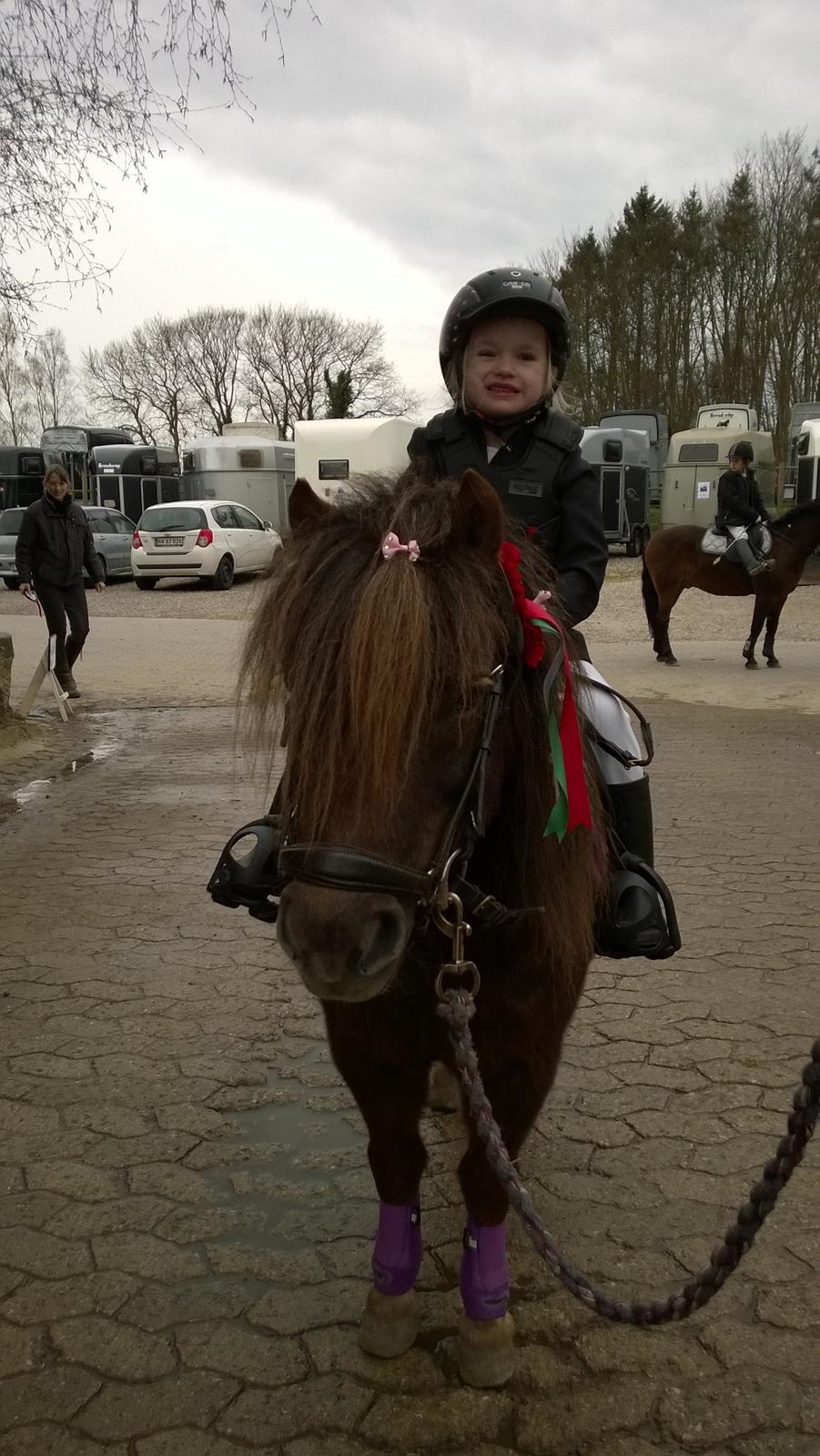 Anden særlig race Lille My billede 39