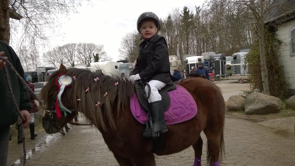 Anden særlig race Lille My billede 40